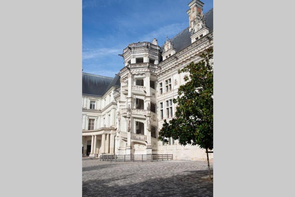 Appartement Quartier Cathedrale 布鲁瓦 外观 照片